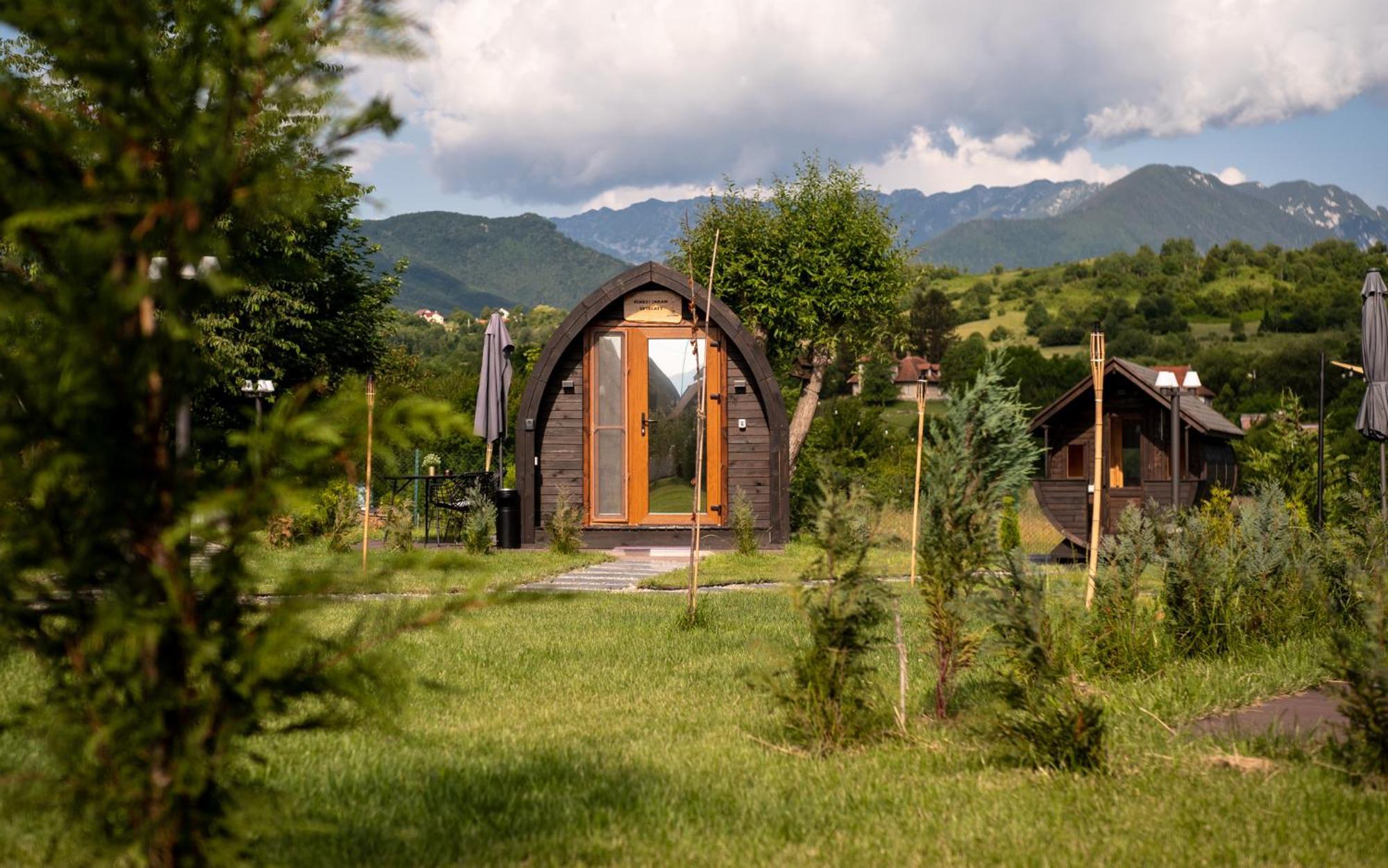 Glamp In Style Pods Resort Bran  Buitenkant foto